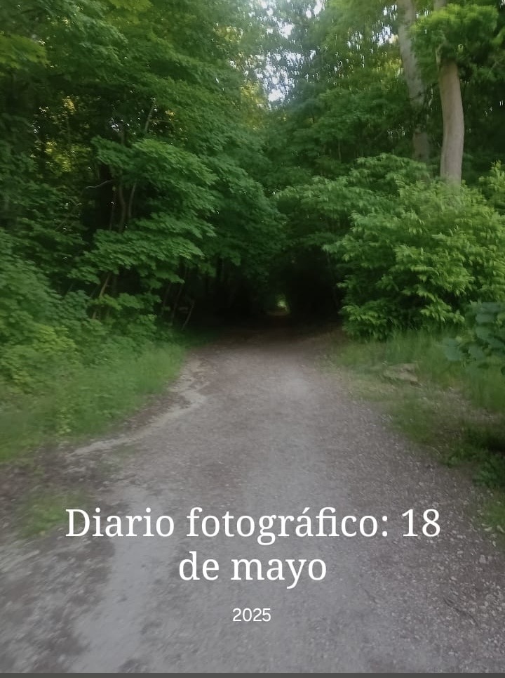 Chemin en forêt
